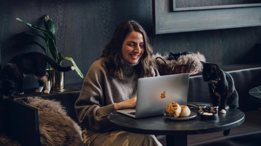 kattcafé med mysig miljö och katter
